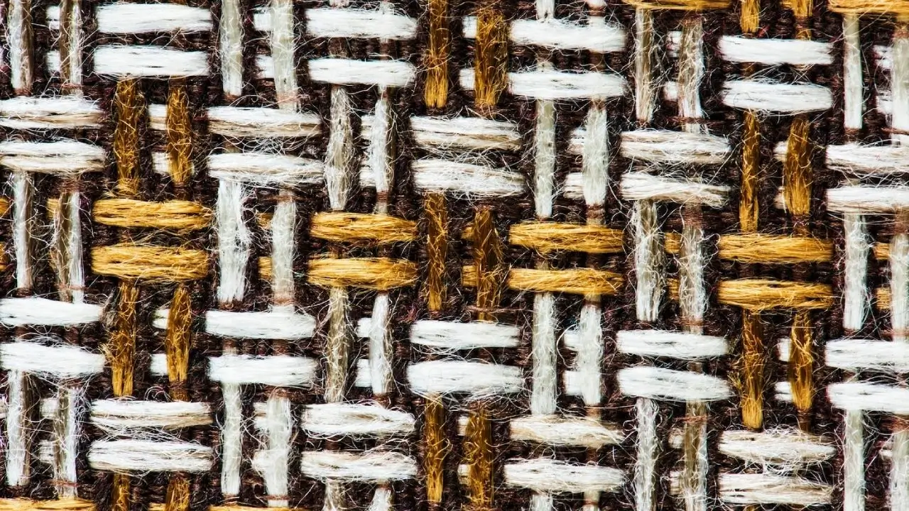 Exposição Internacional